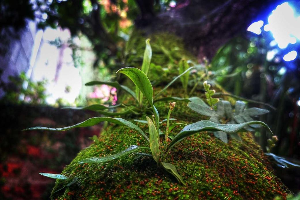 Ut natus repudiandae ipsam